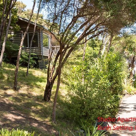 Bay Of Islands Holiday Apartments Paihia Room photo